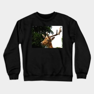 Portrait of a Deer Crewneck Sweatshirt